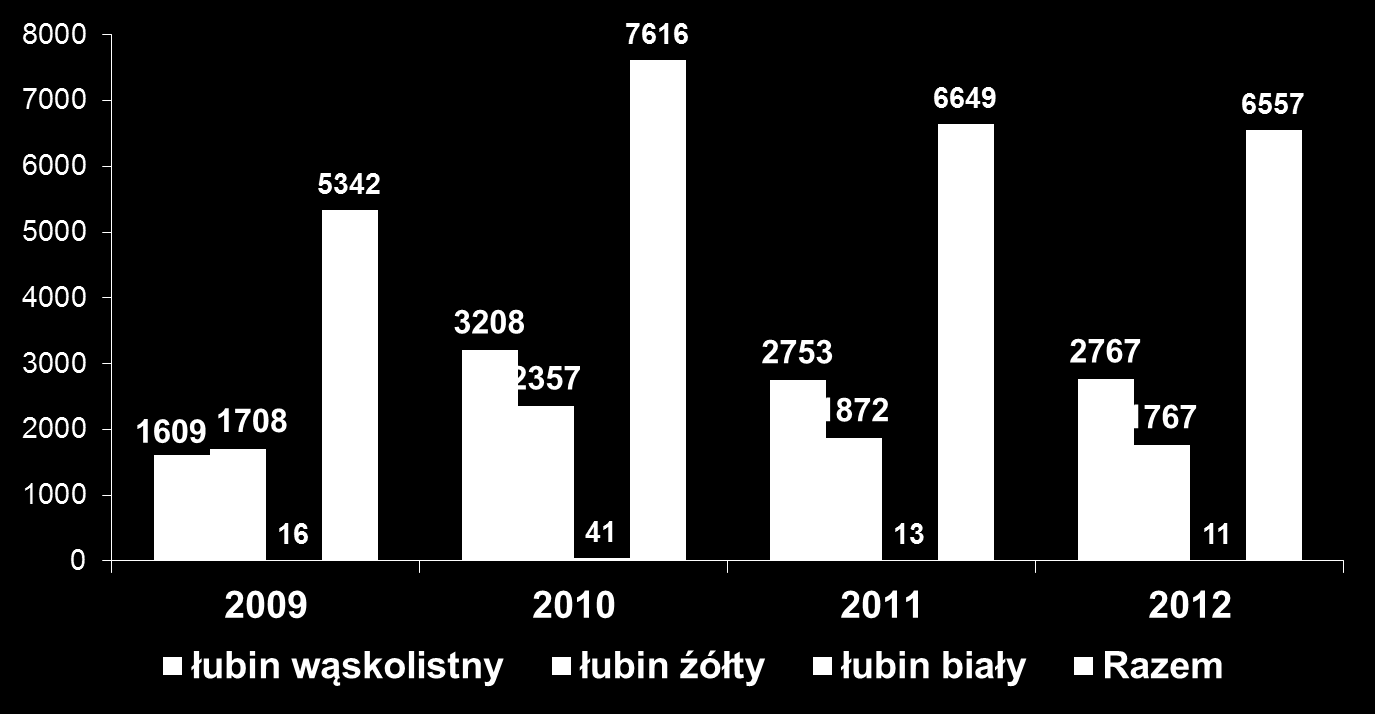Rynek nasion łubinu w latach 2009-2012 Powierzchnia