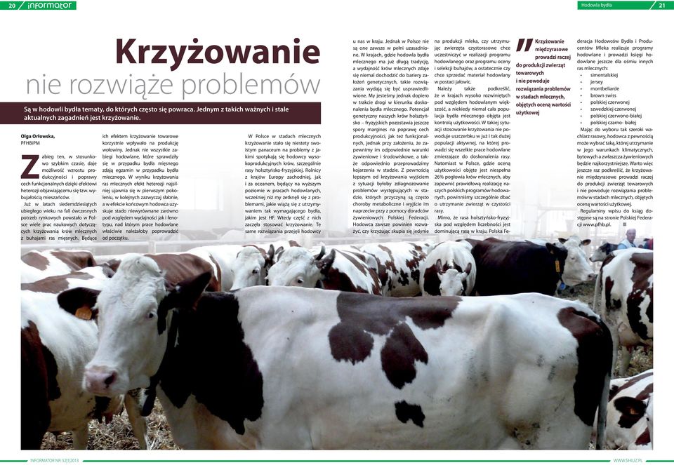 wybujałością mieszańców.