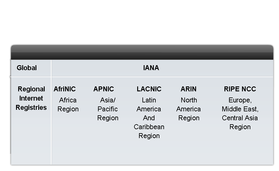 Assigning Addresses Describe the process for requesting IPv4 public addresses, the role ISPs