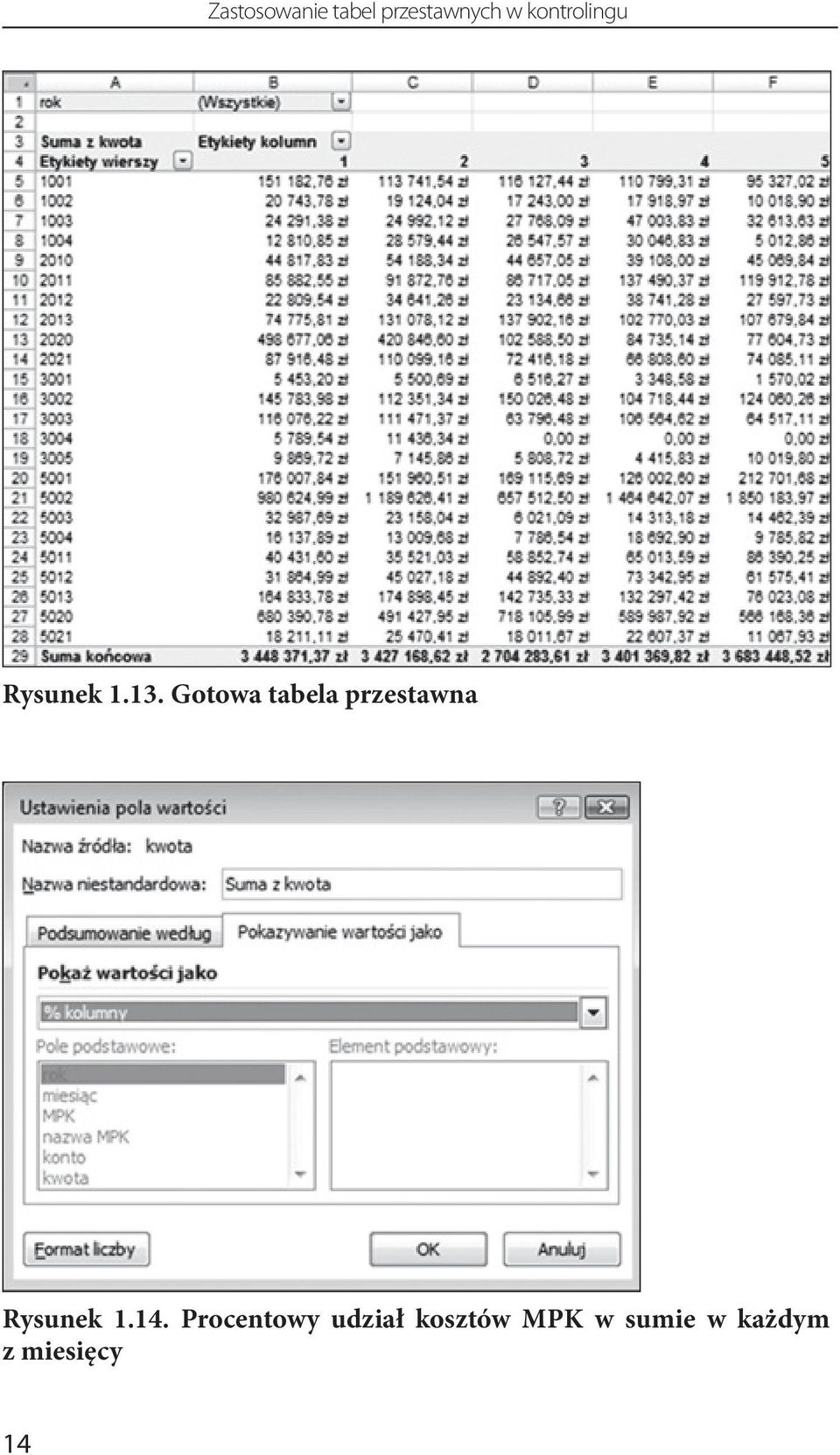 Gotowa tabela przestawna Rysunek 1.14.