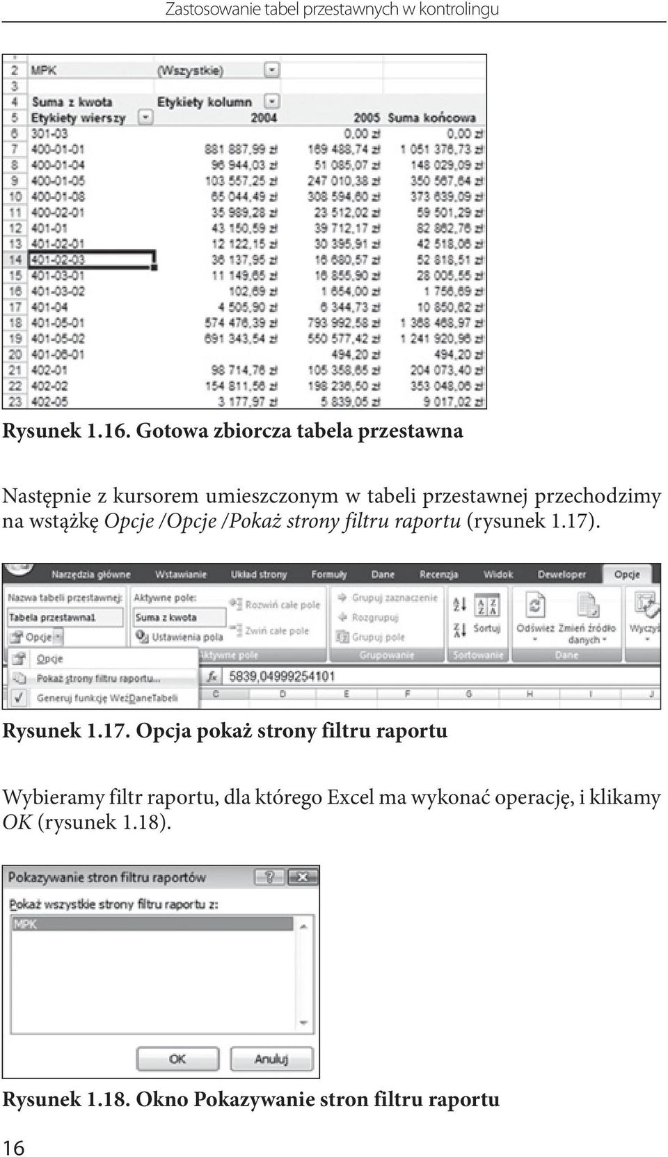 wstążkę Opcje /Opcje /Pokaż strony filtru raportu (rysunek 1.17)