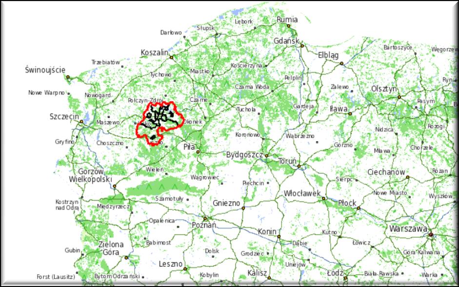 OpenStreetMap wskazuje na mapie: pokrycie terenu, drogi, koleje,