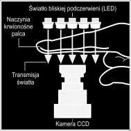 Zasada działania Finger Vein Podczas pobierania wzorca i porównania brane są pod uwagę różnice indywidualne, zmienność szerokości naczyń krwionośnych oraz różnice w położeniu palca Porównanie palca z