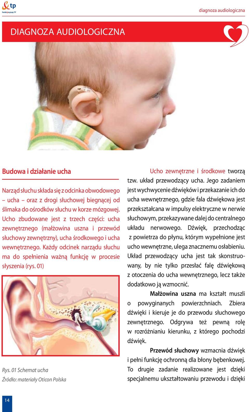 Każdy odcinek narządu słuchu ma do spełnienia ważną funkcję w procesie słyszenia (rys. 01) Rys. 01 Schemat ucha Źródło: materiały Oticon Polska Ucho zewnętrzne i środkowe tworzą tzw.