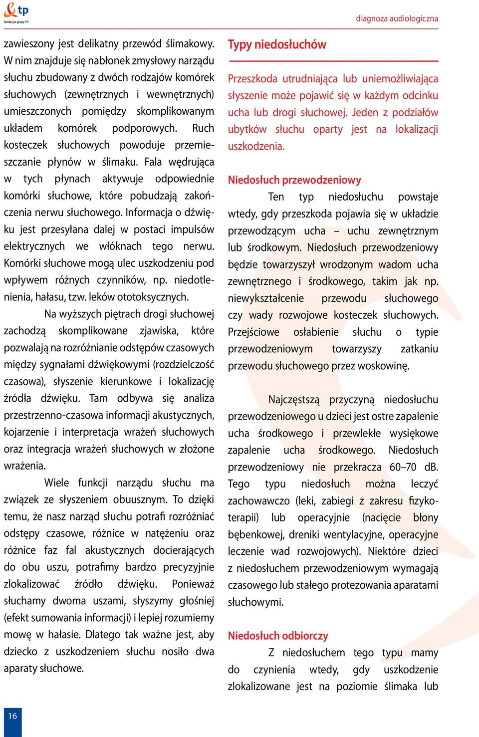 Ruch kosteczek słuchowych powoduje przemieszczanie płynów w ślimaku. Fala wędrująca w tych płynach aktywuje odpowiednie komórki słuchowe, które pobudzają zakończenia nerwu słuchowego.