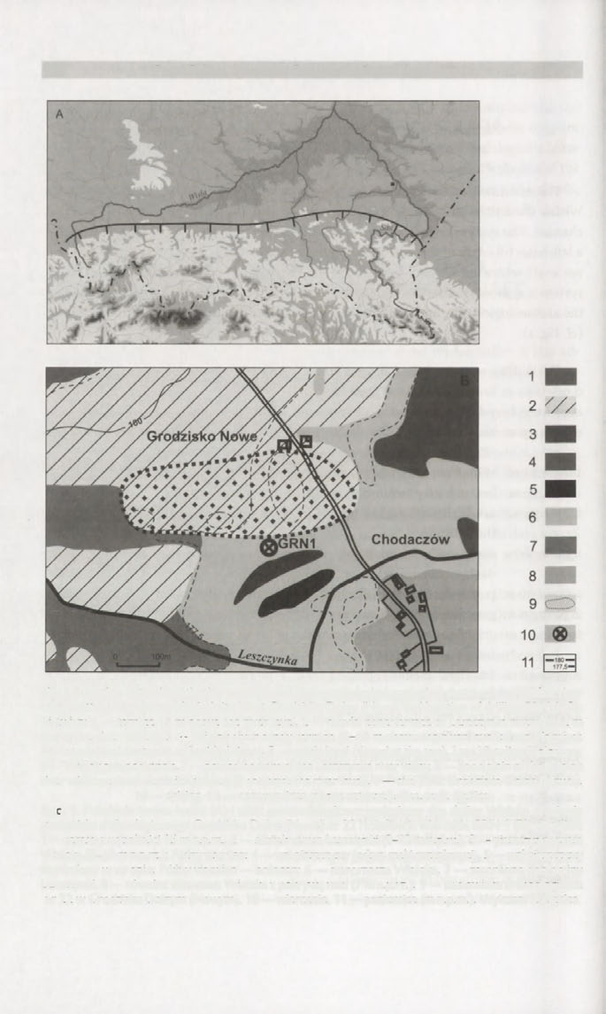 298 Piotr Gębica, Sylwester Czopek, Kazimierz Szczepanek Fig. 1.