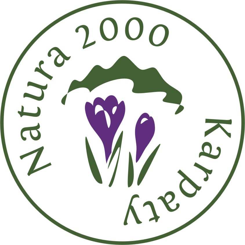 Strategia zarządzania dla obszaru Natura 2000 Kościół w Górkach Wielkich