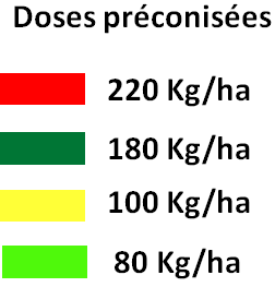 identyfikując strefy zbyt małego i zbyt dużego dawkowania w obu przypadkach.