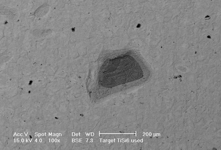 międzymetalicznych) o stałym składzie chemicznym, powstająca podczas krzepnięcia roztworu