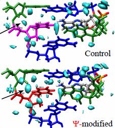 Analiza trajektorii MD Sequence A Sequence B Radial distribution function g(r) of Water Oxygen WAT O atom around H5 atom of U (Uridine) and N1H atom of (Pseudouridine) Thermodynamic parameters of