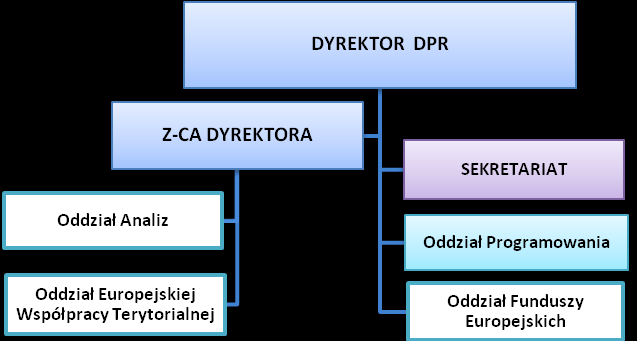 Schemat 10. Struktura organizacyjna DPR Schemat 11. Struktura docelowego zatrudnienia w DPR w ramach realizacji RPO WL 2.