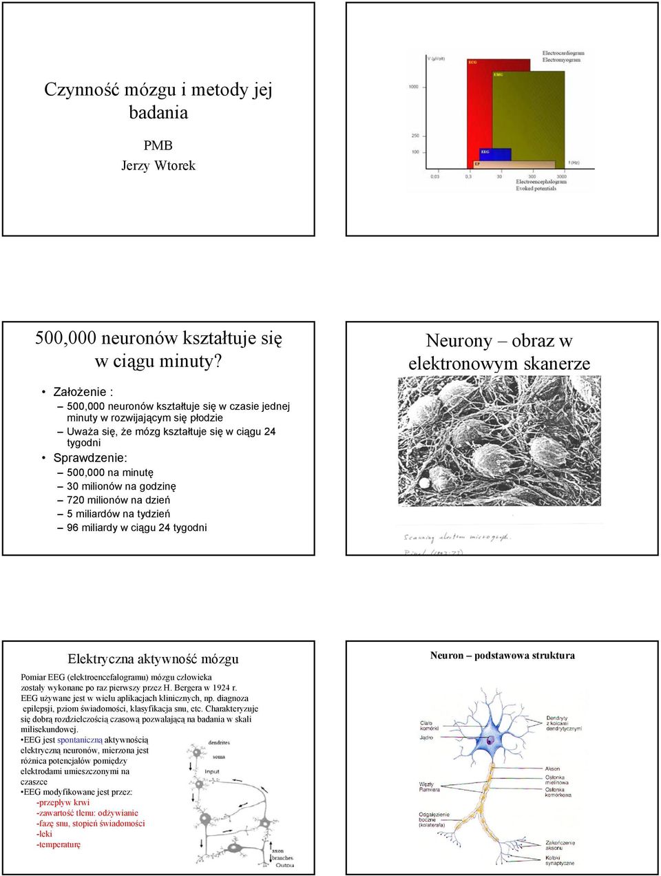 70 milionów na dzień 5 miliardów na tydzień 96 miliardy w ciągu 4 tygodni Neurony obraz w elektronowym skanerze Elektryczna aktywność mózgu Pomiar EEG (elektroencefalogramu) mózgu człowieka zostały