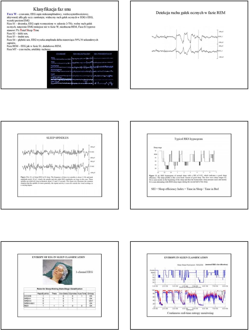 fazie W, nieobecna REM, Faza S1 typowo stanowi 5% Total Sleep Time Faza S lekki sen, Faza S3 średni sen, Faza S4 głęboki sen, EEG wysoka amplituda