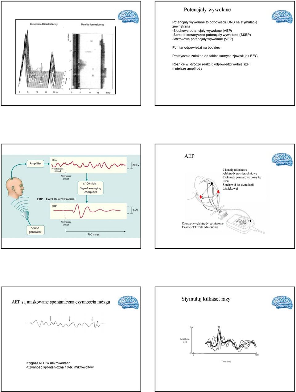 Różnice w drodze reakcji: odpowiedzi wolniejsze i mniejsze amplitudy AEP kanały różnicowe -elektrody powierzchniowe Elektrody pomiarowe powyżej uszu Słuchawki do stymulacji