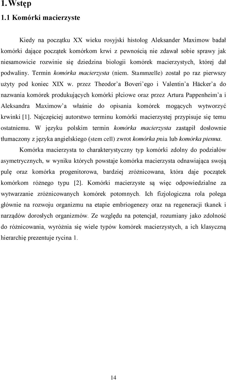 dziedzina biologii komórek macierzystych, której dał podwaliny. Termin komórka macierzysta (niem. Stammzelle) został po raz pierwszy użyty pod koniec XIX w.