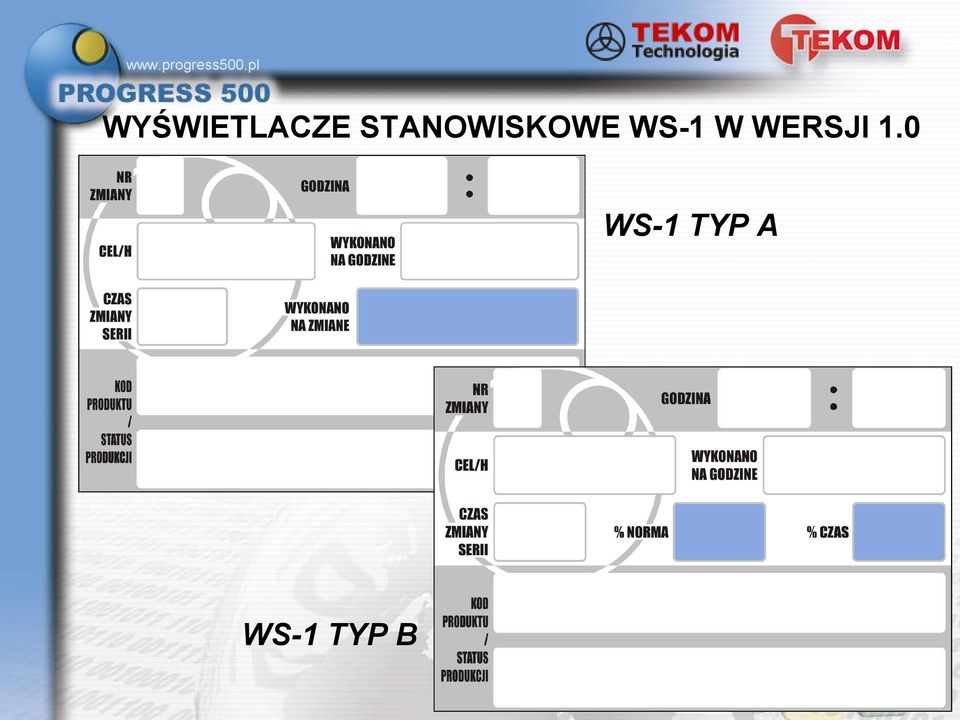 WS-1 W WERSJI 1.