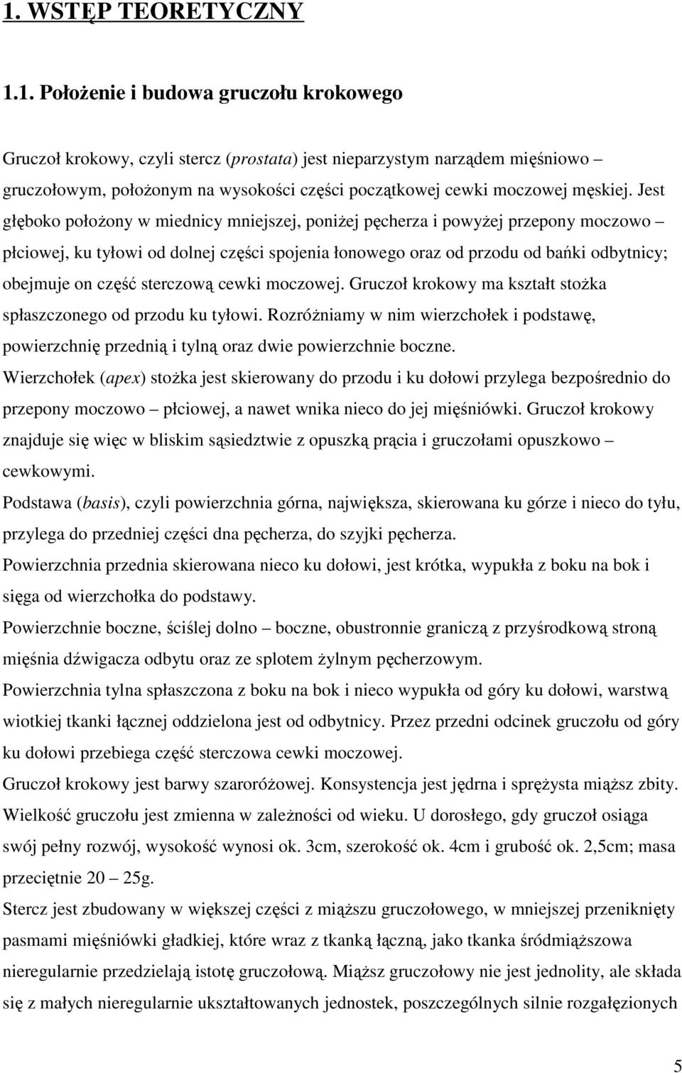 sterczową cewki moczowej. Gruczoł krokowy ma kształt stożka spłaszczonego od przodu ku tyłowi. Rozróżniamy w nim wierzchołek i podstawę, powierzchnię przednią i tylną oraz dwie powierzchnie boczne.