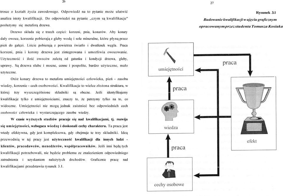 1 Budowanie kwalifikacji w ujęciu graficznym opracowanym przez studenta Tomasza Kosiaka dały owoce, korzenie pobierają z gleby wodę i sole mineralne, które płyną przez pień do gałęzi.