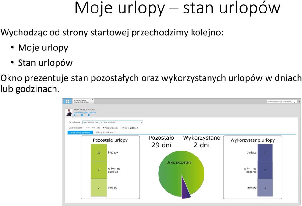 Stan urlopów Okno prezentuje stan pozostałych