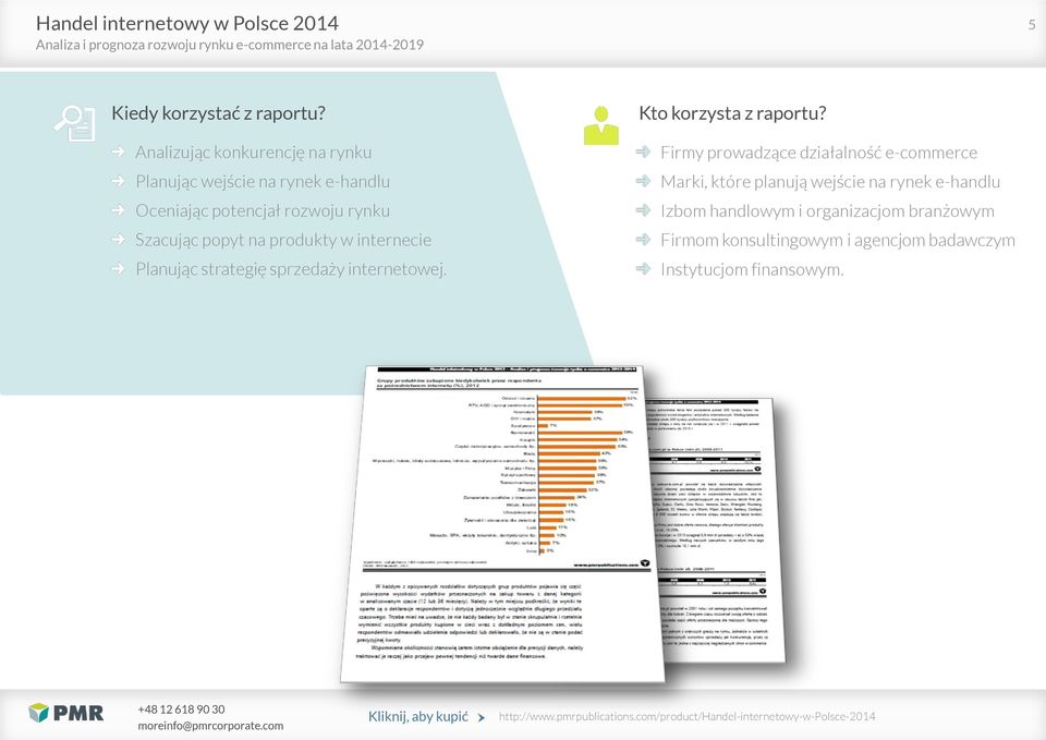 Szacując popyt na produkty w internecie Planując strategię sprzedaży internetowej. Kto korzysta z raportu?