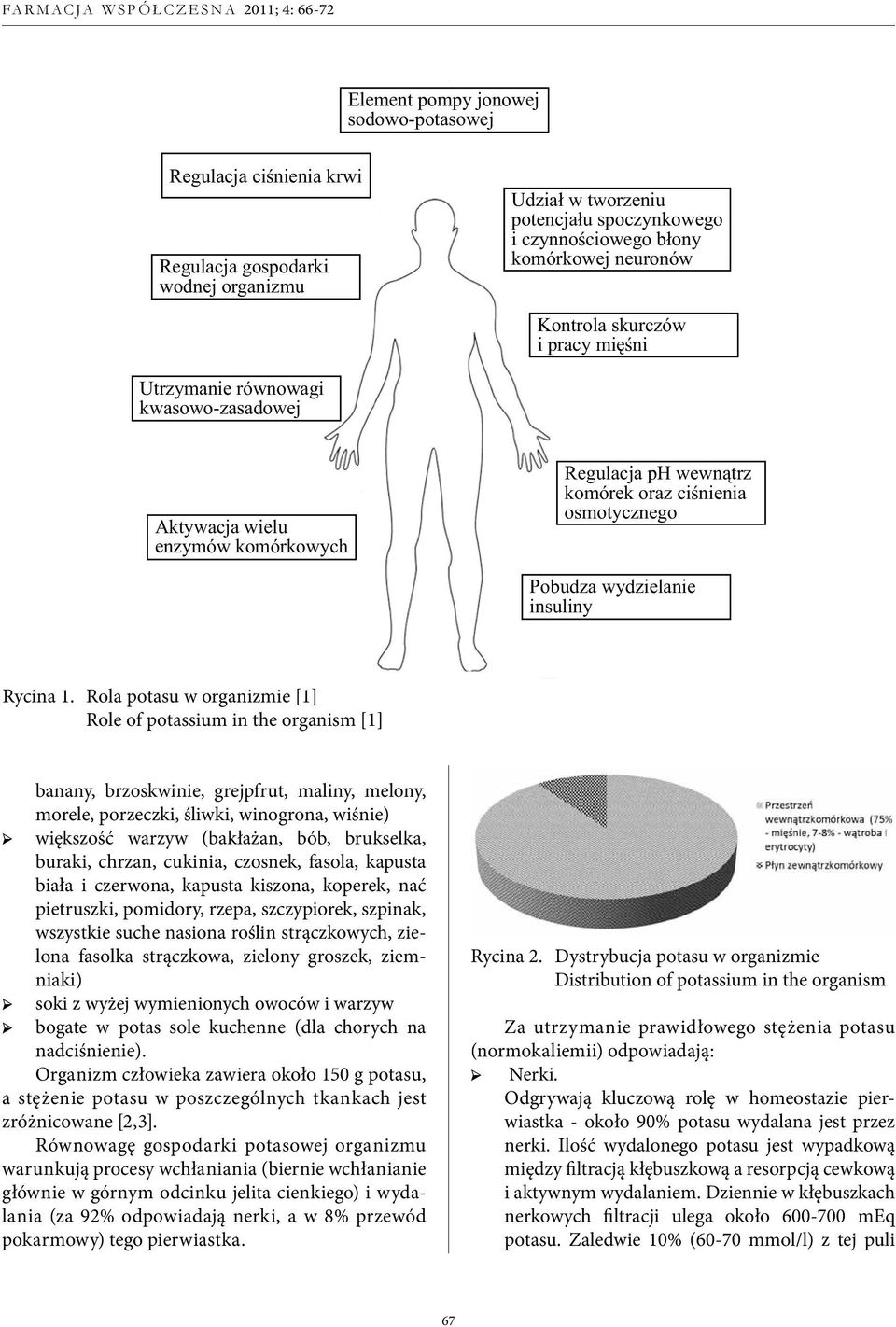 Rola potasu w organizmie [1] Role of potassium in the organism [1] banany, brzoskwinie, grejpfrut, maliny, melony, morele, porzeczki, śliwki, winogrona, wiśnie) większość warzyw (bakłażan, bób,