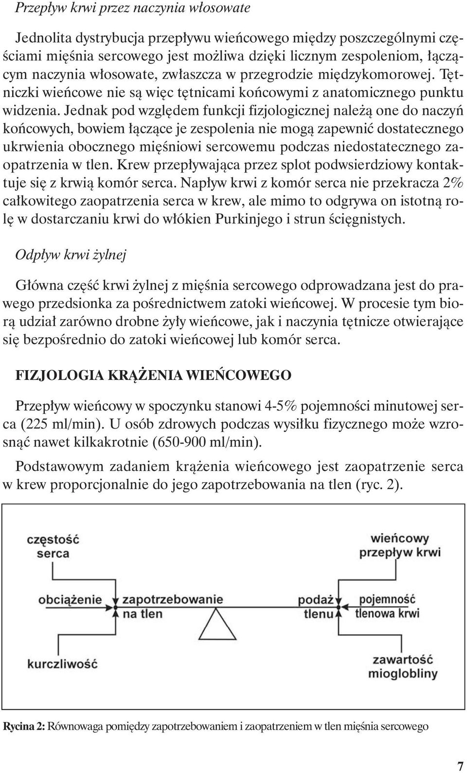 Jednak pod względem funkcji fizjologicznej należą one do naczyń końcowych, bowiem łączące je zespolenia nie mogą zapewnić dostatecznego ukrwienia obocznego mięśniowi sercowemu podczas