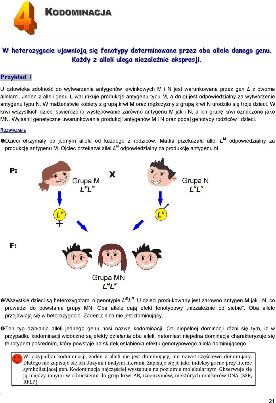 . Przykład 1 U człowieka zdolność do wytwarzania antygenów krwinkowych M i N jest warunkowana przez gen L z dwoma allelami.