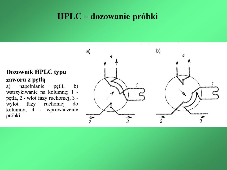 próbki