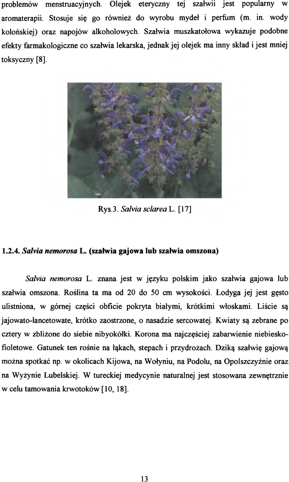 Safoia sclarea L. [17] 1.2.4. Salvia nemorosa L. (szałwia gajowa lub szałwia omszona) Safoia nemorosa L. znana jest w języku polskim jako szałwia gajowa lub szałwia omszona.