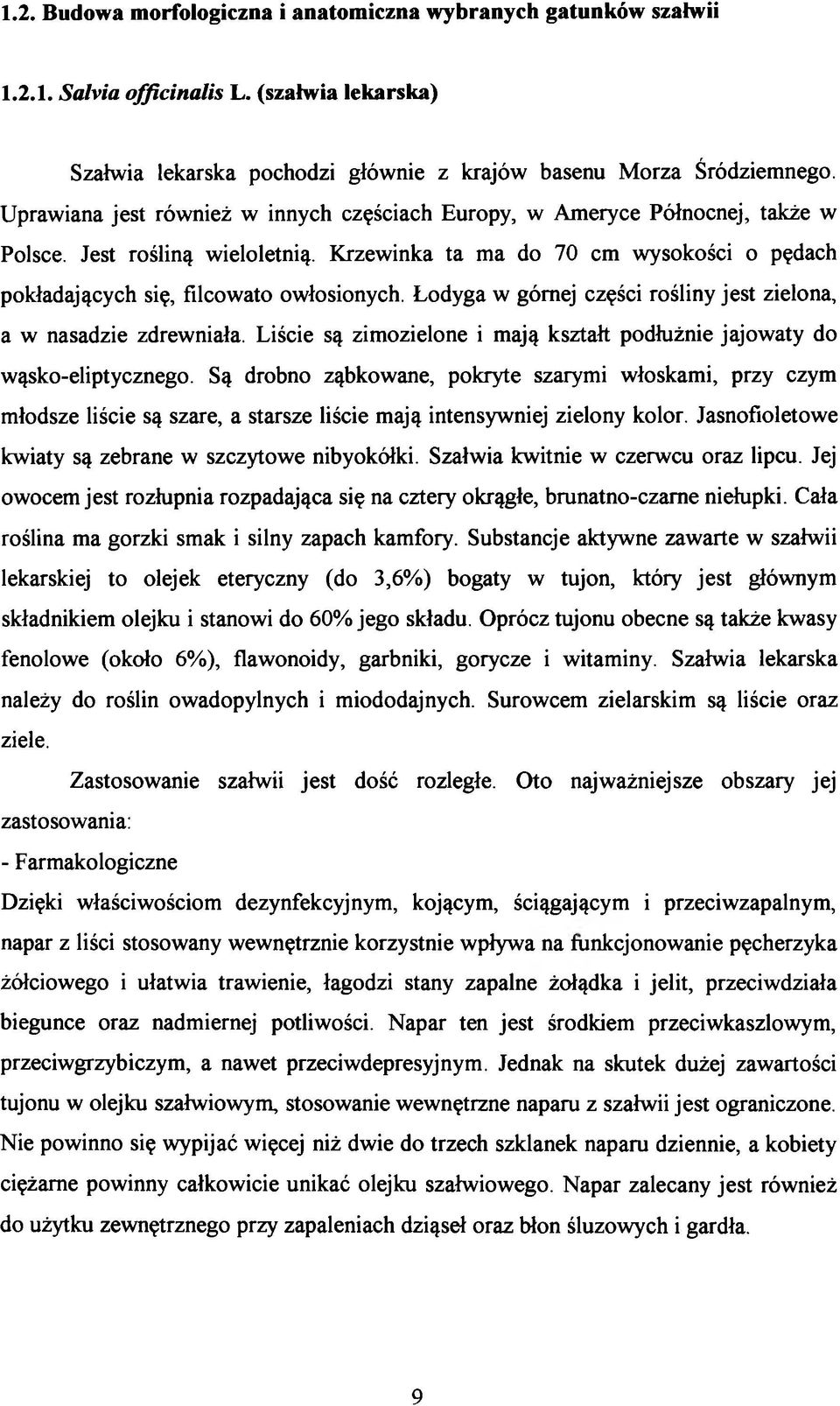 Łodyga w górnej części rośliny jest zielona, a w nasadzie zdrewniała. Liście są zimozielone i mają kształt podłużnie jajowaty do wąsko-eliptycznego.