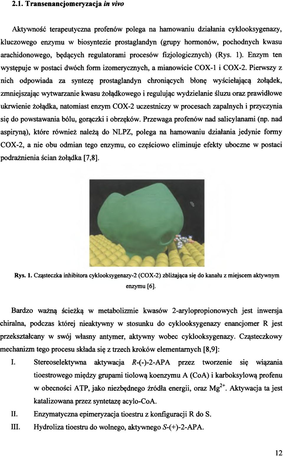 Pierwszy z nich odpowiada za syntezę prostaglandyn chroniących błonę wyściełającą żołądek, zmniejszając wytwarzanie kwasu żołądkowego i regulując wydzielanie śluzu oraz prawidłowe ukrwienie żołądka,