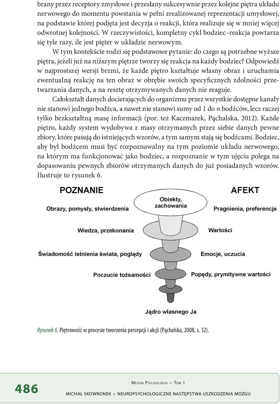 W tym kontekście rodzi się podstawowe pytanie: do czego są potrzebne wyższe piętra, jeżeli już na niższym piętrze tworzy się reakcja na każdy bodziec?