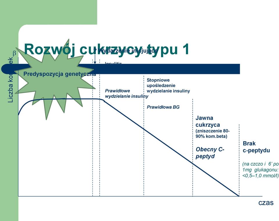 Stopniowe upośledzenie Prawidłowe wydzielanie insuliny wydzielanie insuliny