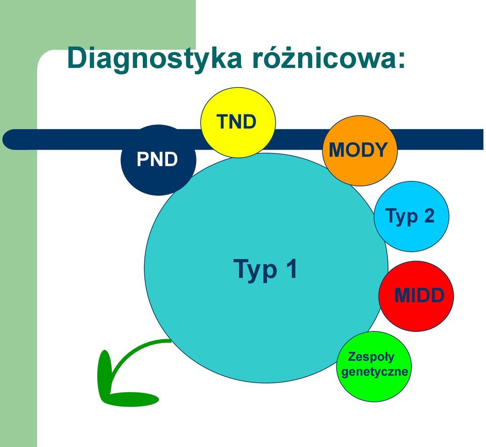 TND MODY Typ 1