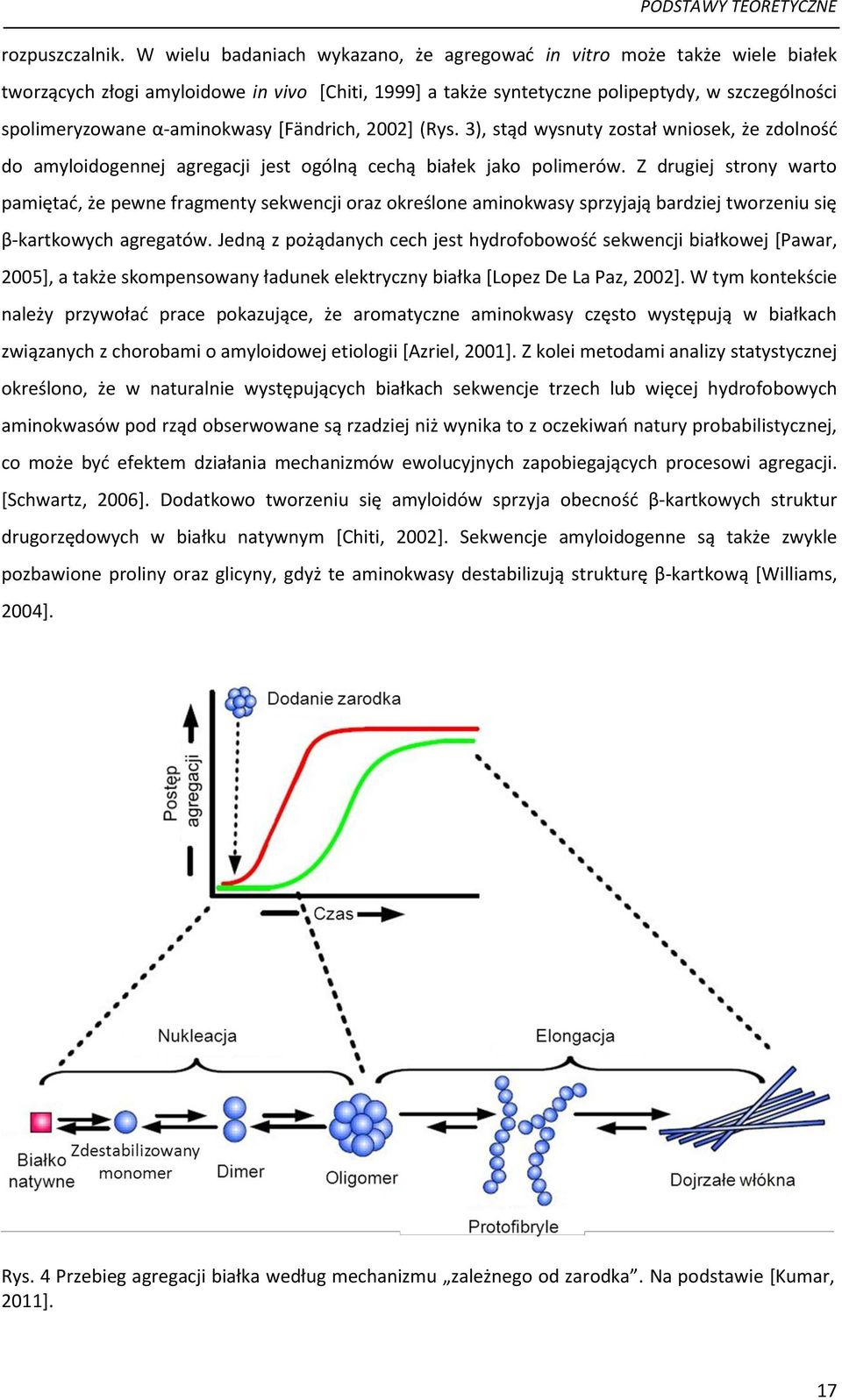 α-aminokwasy *Fändrich, 2002+ (Rys. 3), stąd wysnuty został wniosek, że zdolnośd do amyloidogennej agregacji jest ogólną cechą białek jako polimerów.