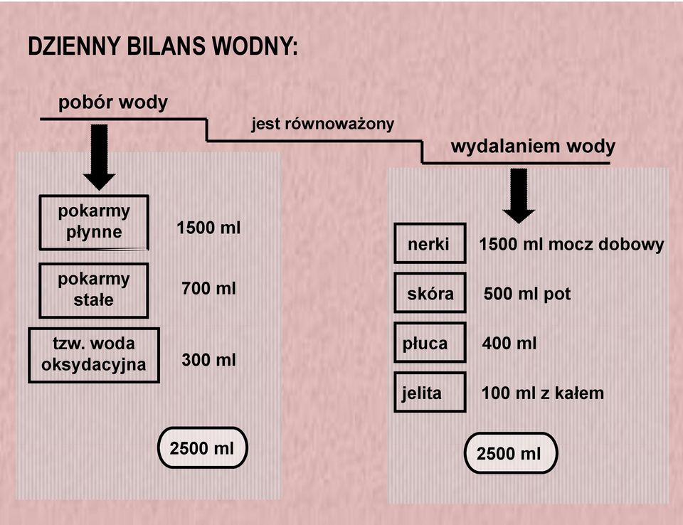 dobowy pokarmy stałe 700 ml skóra 500 ml pot tzw.