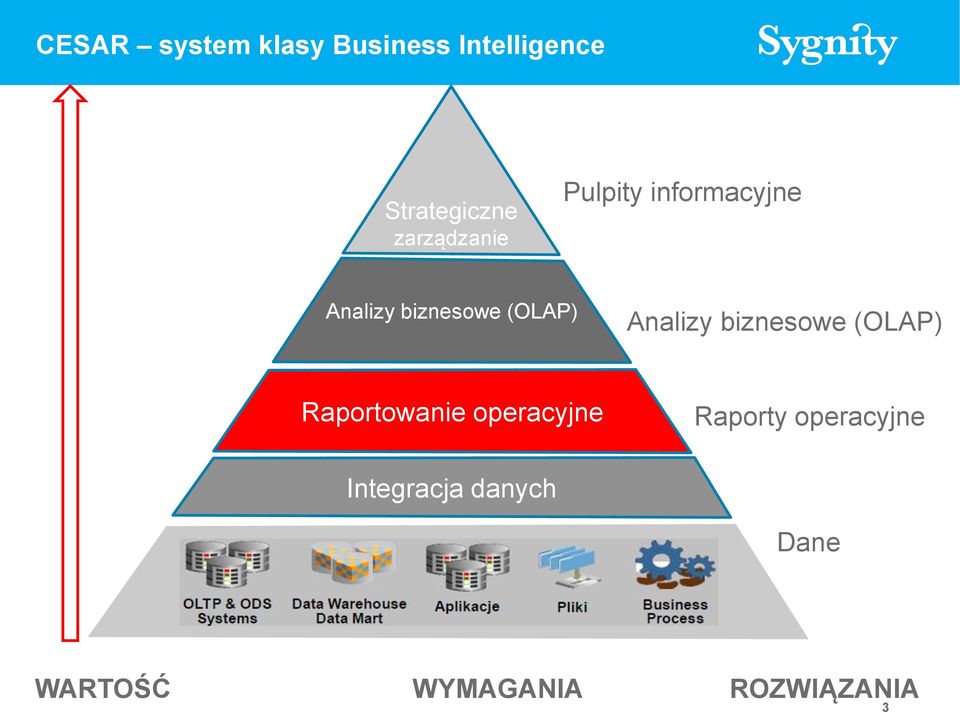 Analizy biznesowe (OLAP) Raportowanie operacyjne Raporty