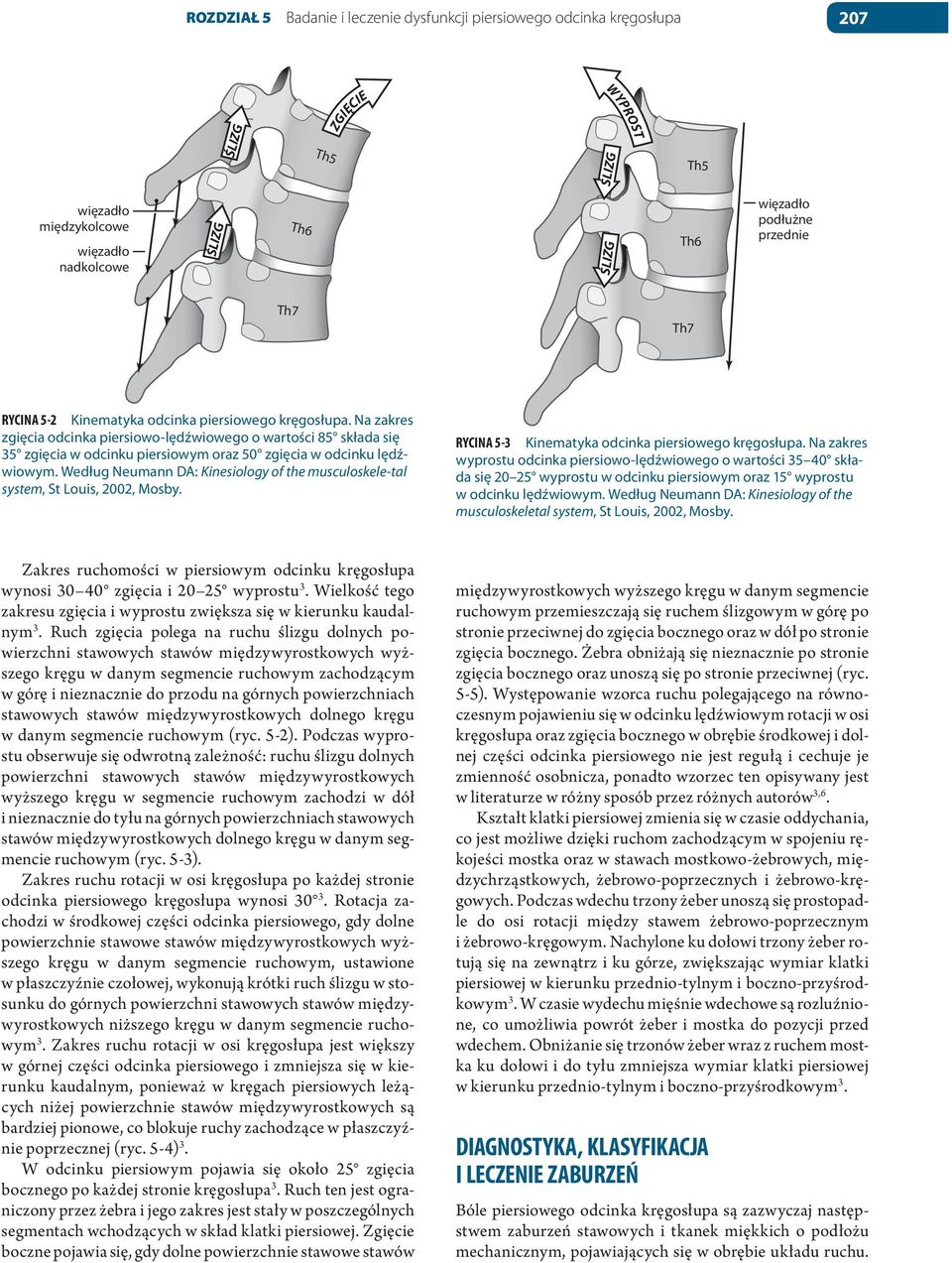 Według Neumann DA: Kinesiology of the musculoskele-tal system, St Louis, 2002, Mosby. RYCINA 5-3 Kinematyka odcinka piersiowego kręgosłupa.