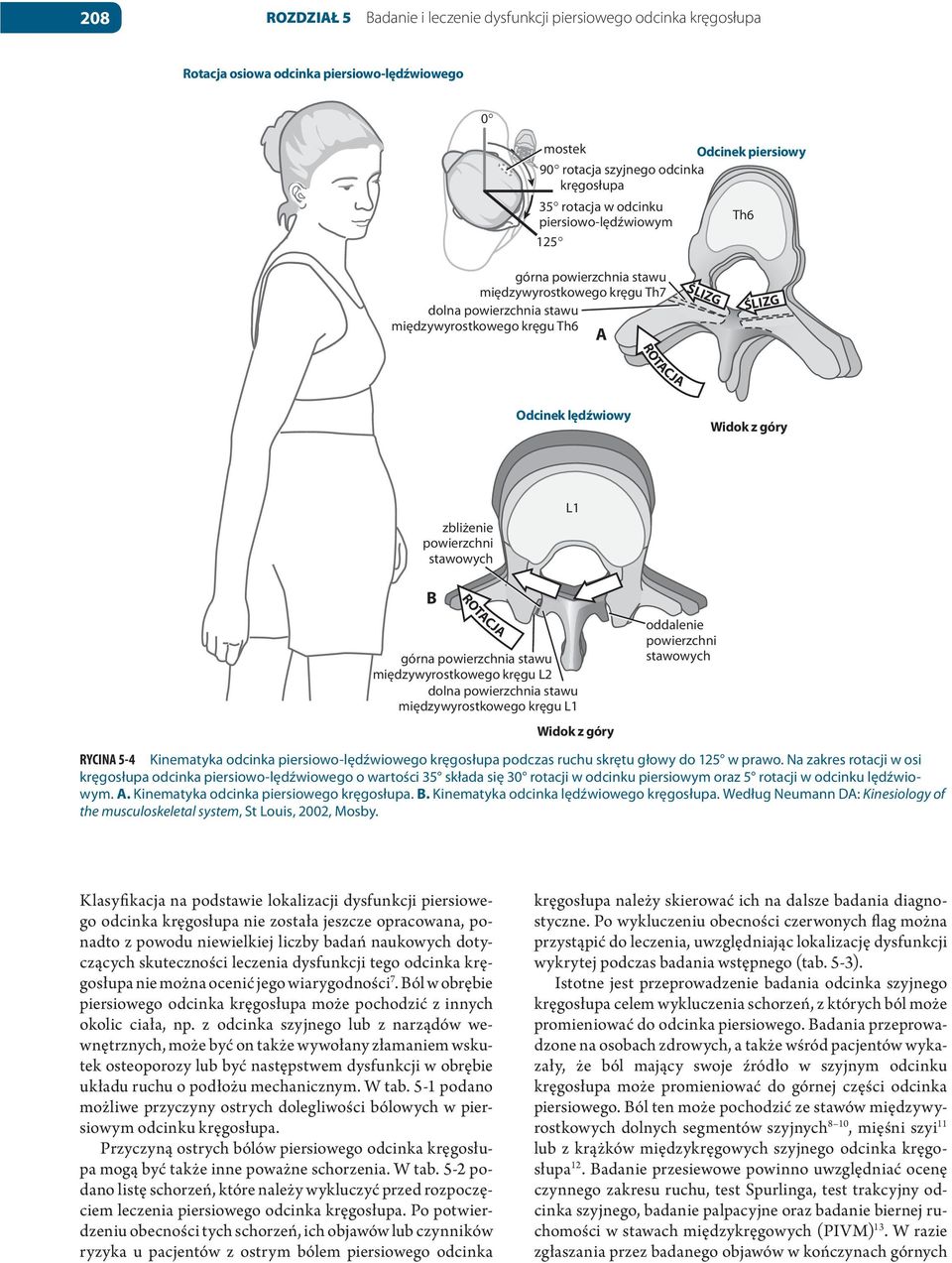 międzywyrostkowego kręgu L2 dolna powierzchnia stawu międzywyrostkowego kręgu L1 Widok z góry oddalenie powierzchni stawowych RYCINA 5-4 Kinematyka odcinka piersiowo-lędźwiowego kręgosłupa podczas