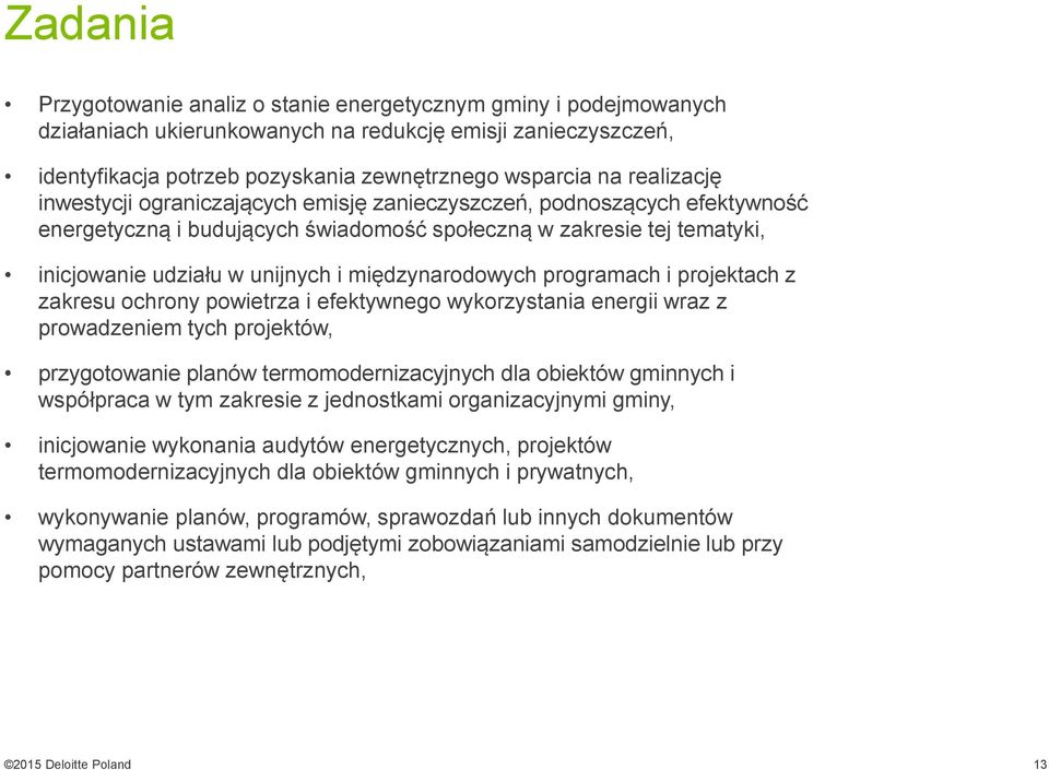 międzynarodowych programach i projektach z zakresu ochrony powietrza i efektywnego wykorzystania energii wraz z prowadzeniem tych projektów, przygotowanie planów termomodernizacyjnych dla obiektów