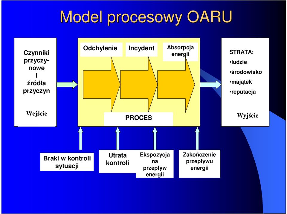 majątek reputacja Wejście PROCES Wyjście Braki w kontroli sytuacji