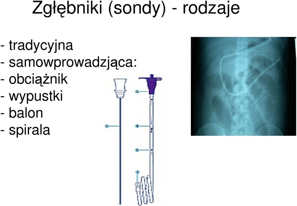 samowprowadzjąca: -