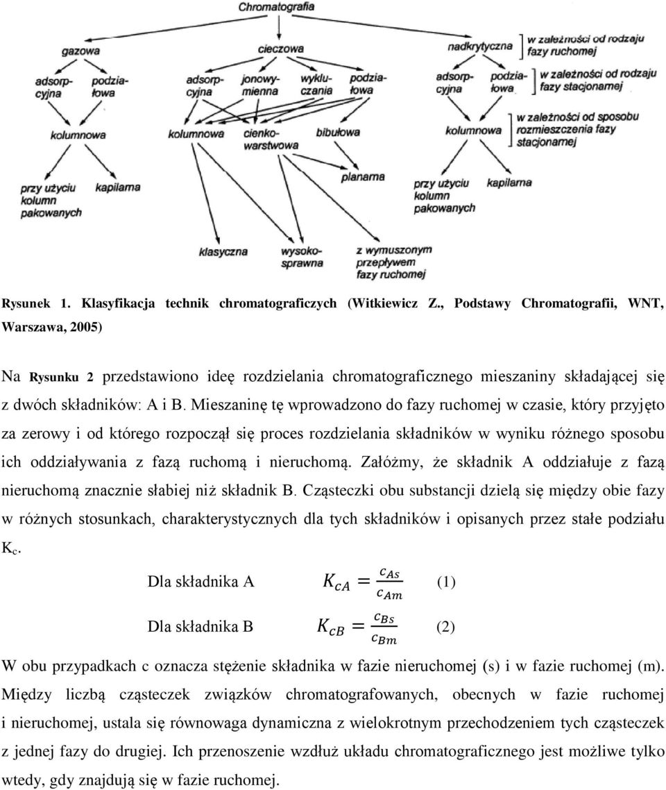 Mieszaninę tę wprowadzono do fazy ruchomej w czasie, który przyjęto za zerowy i od którego rozpoczął się proces rozdzielania składników w wyniku różnego sposobu ich oddziaływania z fazą ruchomą i