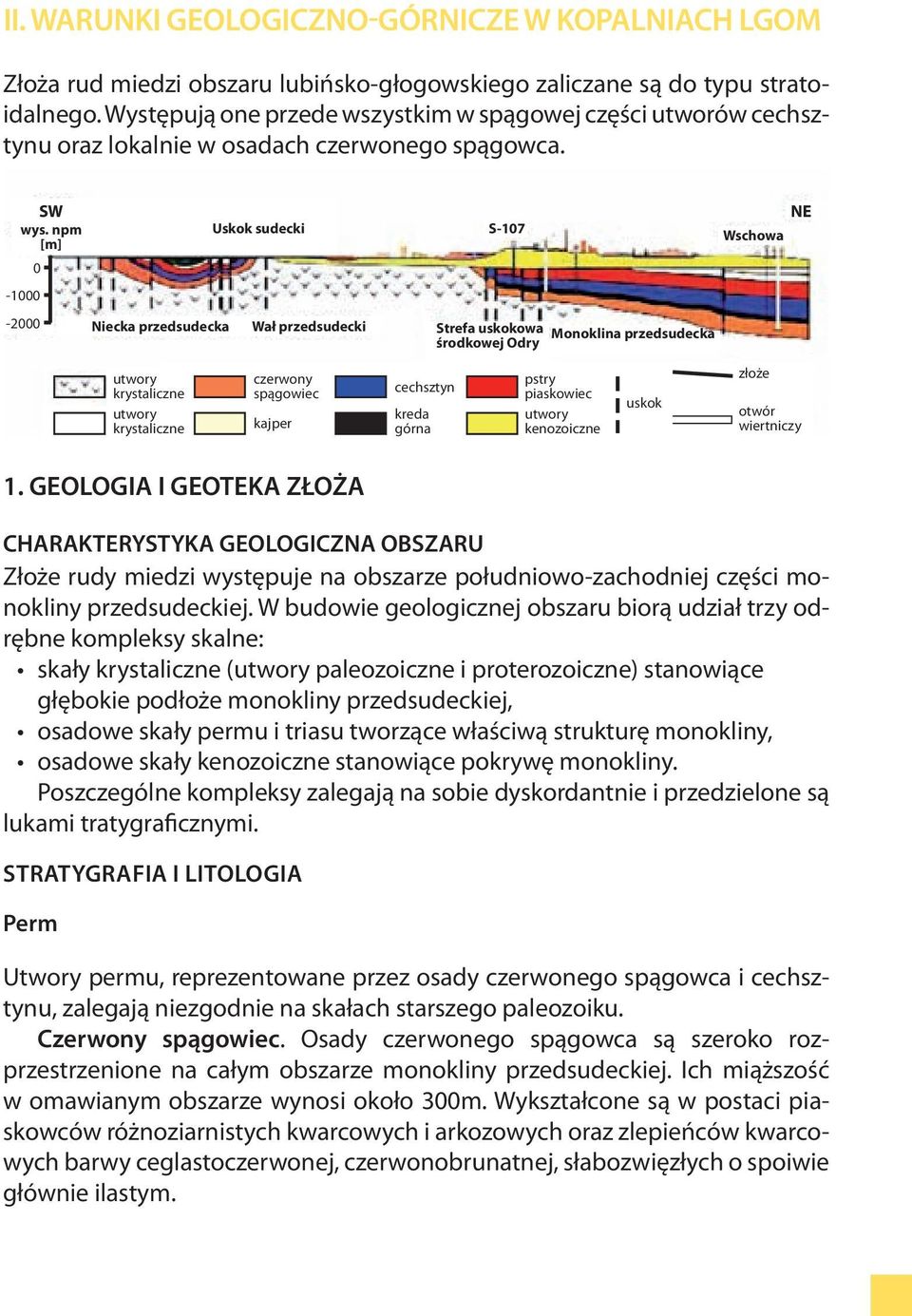 npm [m] 0-1000 Uskok sudecki S-107 NE Wschowa -2000 Niecka przedsudecka Wał przedsudecki Strefa uskokowa środkowej Odry Monoklina przedsudecka utwory krystaliczne utwory krystaliczne czerwony