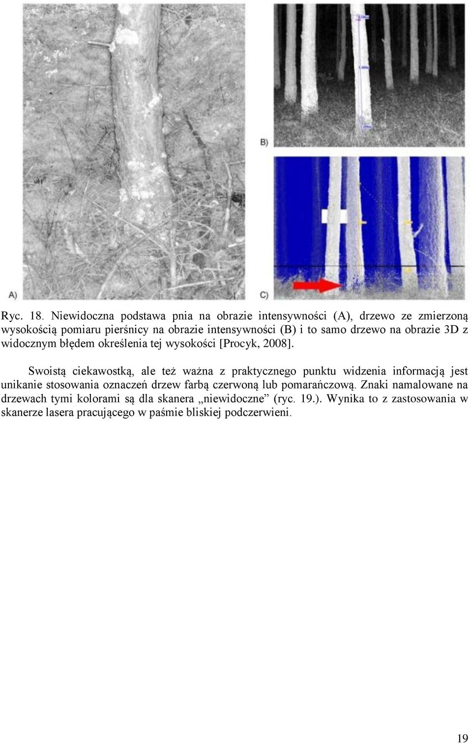 samo drzewo na obrazie 3D z widocznym błędem określenia tej wysokości [Procyk, 2008].