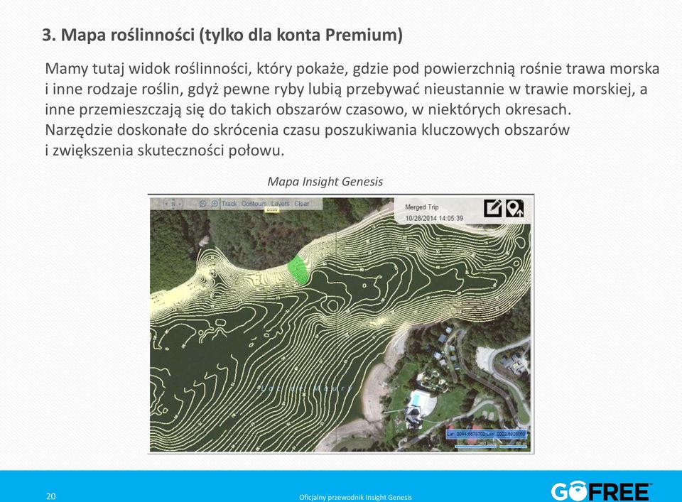 trawie morskiej, a inne przemieszczają się do takich obszarów czasowo, w niektórych okresach.