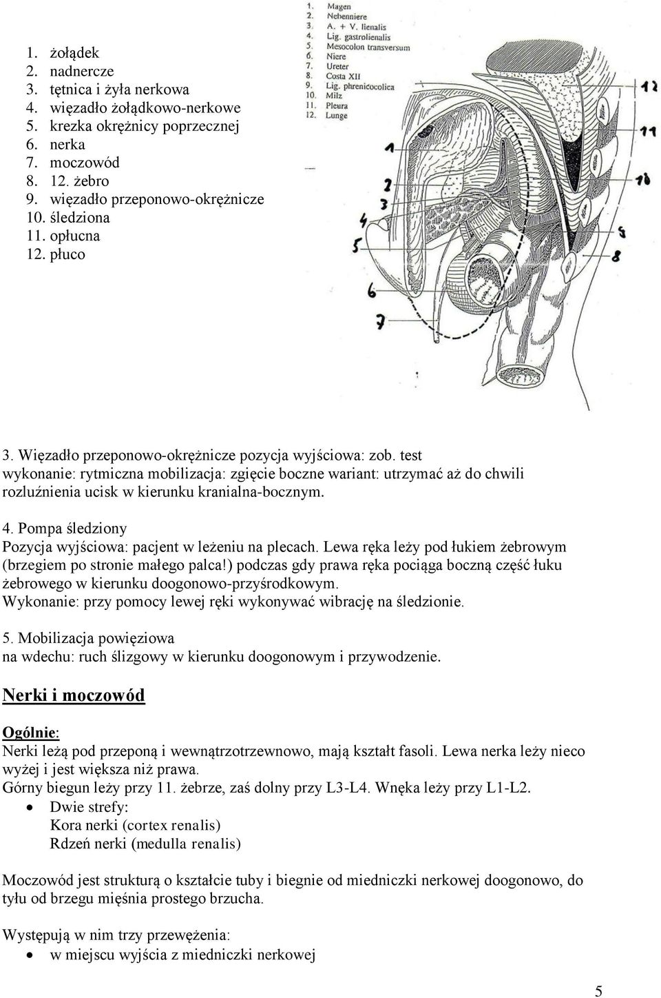 test wykonanie: rytmiczna mobilizacja: zgięcie boczne wariant: utrzymać aż do chwili rozluźnienia ucisk w kierunku kranialna-bocznym. 4.