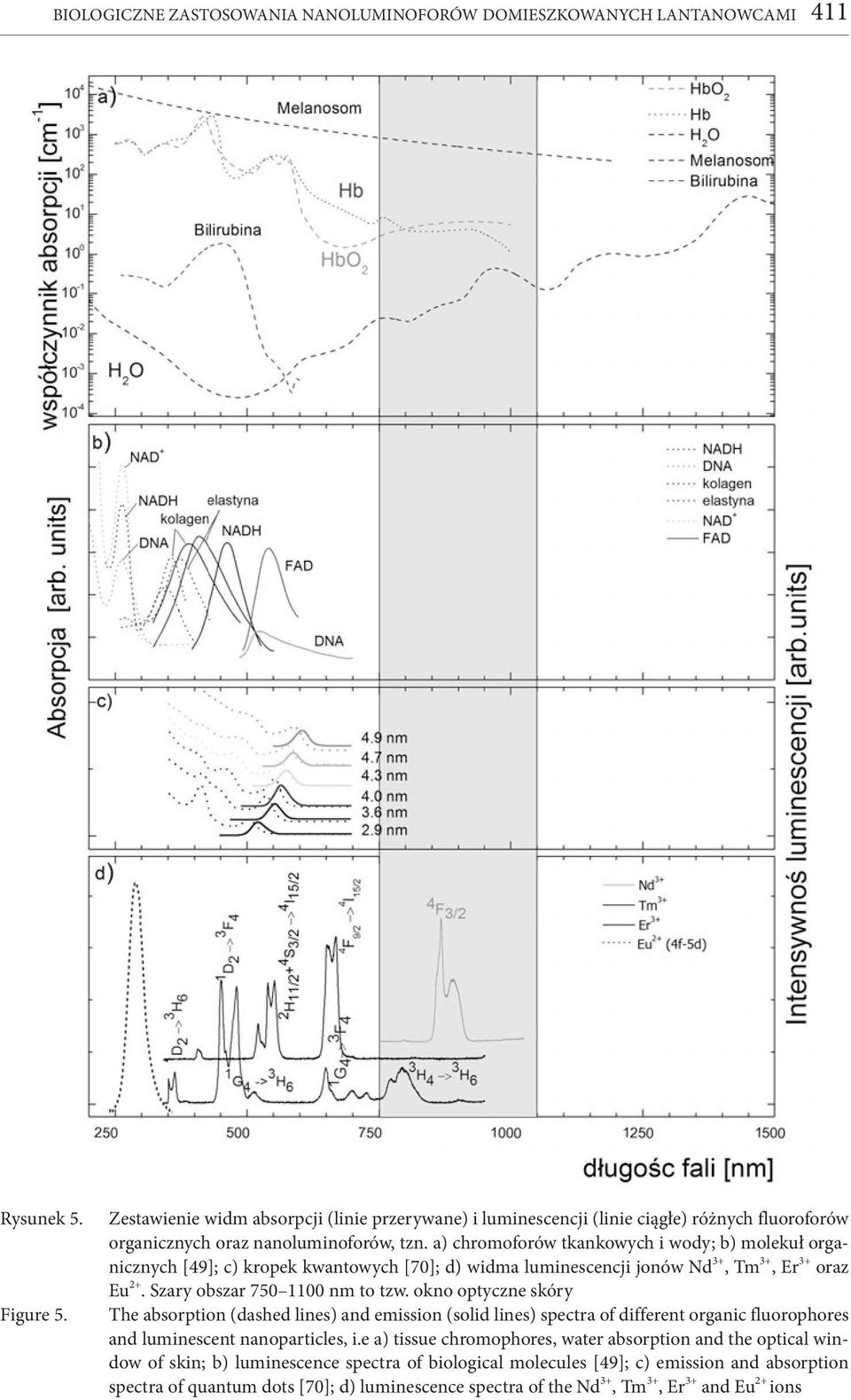 a) chromoforów tkankowych i wody; b) molekuł organicznych [49]; c) kropek kwantowych [70]; d) widma luminescencji jonów Nd 3+, Tm 3+, Er 3+ oraz Eu 2+. Szary obszar 750 1100 nm to tzw.