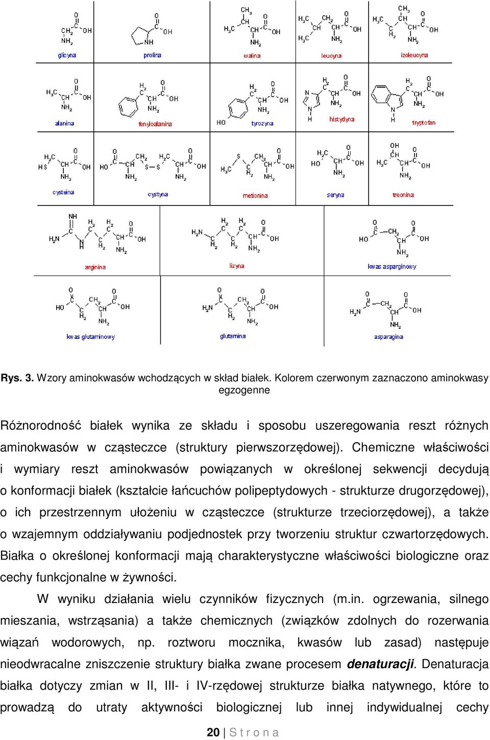 Chemiczne właściwości i wymiary reszt aminokwasów powiązanych w określonej sekwencji decydują o konformacji białek (kształcie łańcuchów polipeptydowych - strukturze drugorzędowej), o ich