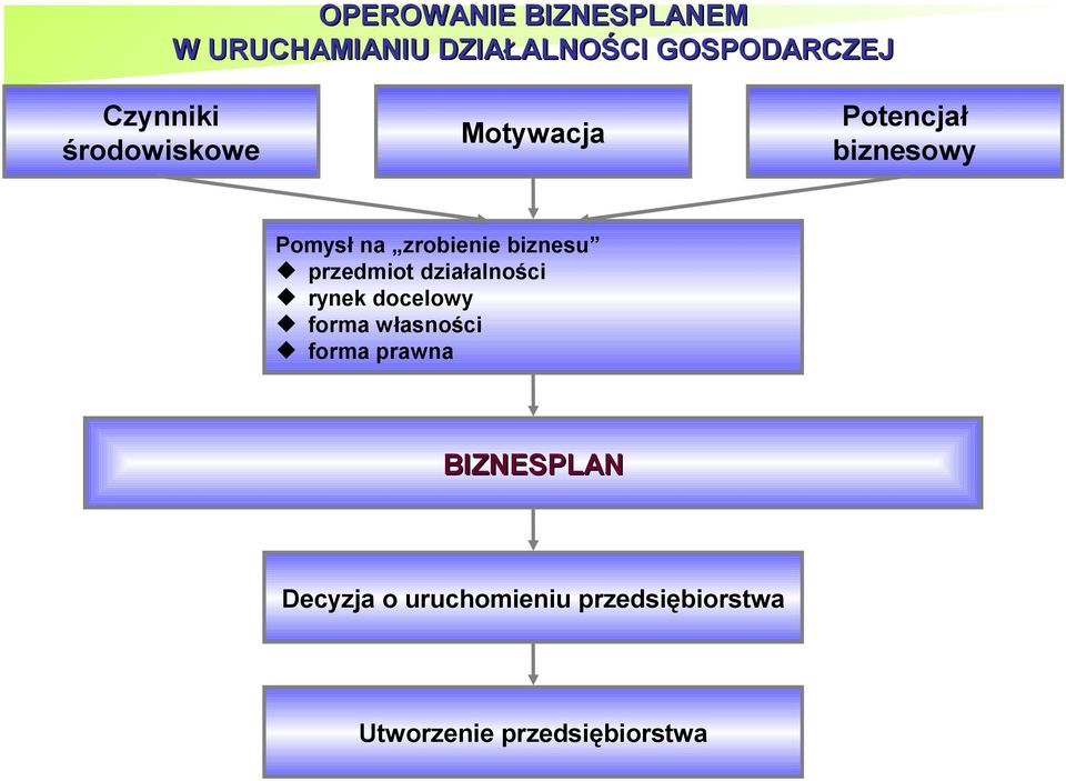 biznesu przedmiot działalności rynek docelowy forma własności forma